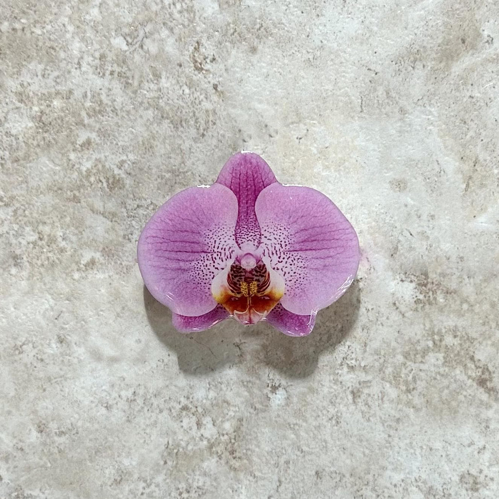 Orchid Flower Phone Grip