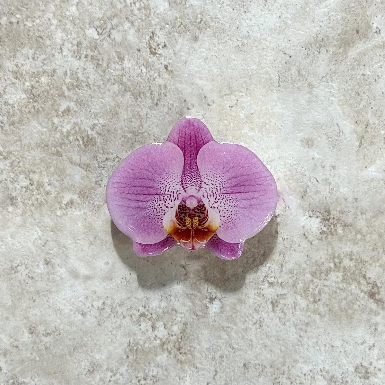 Orchid Flower Phone Grip