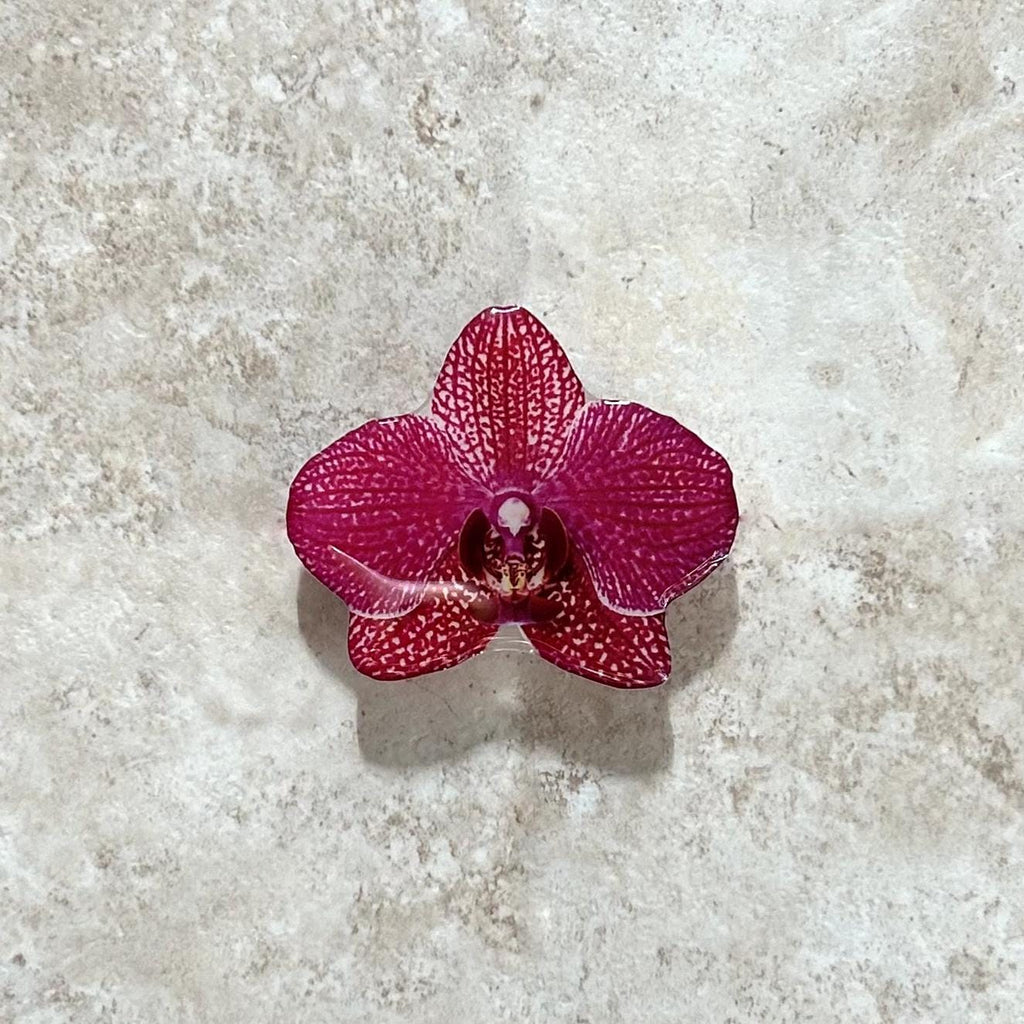 Orchid Flower Phone Grip