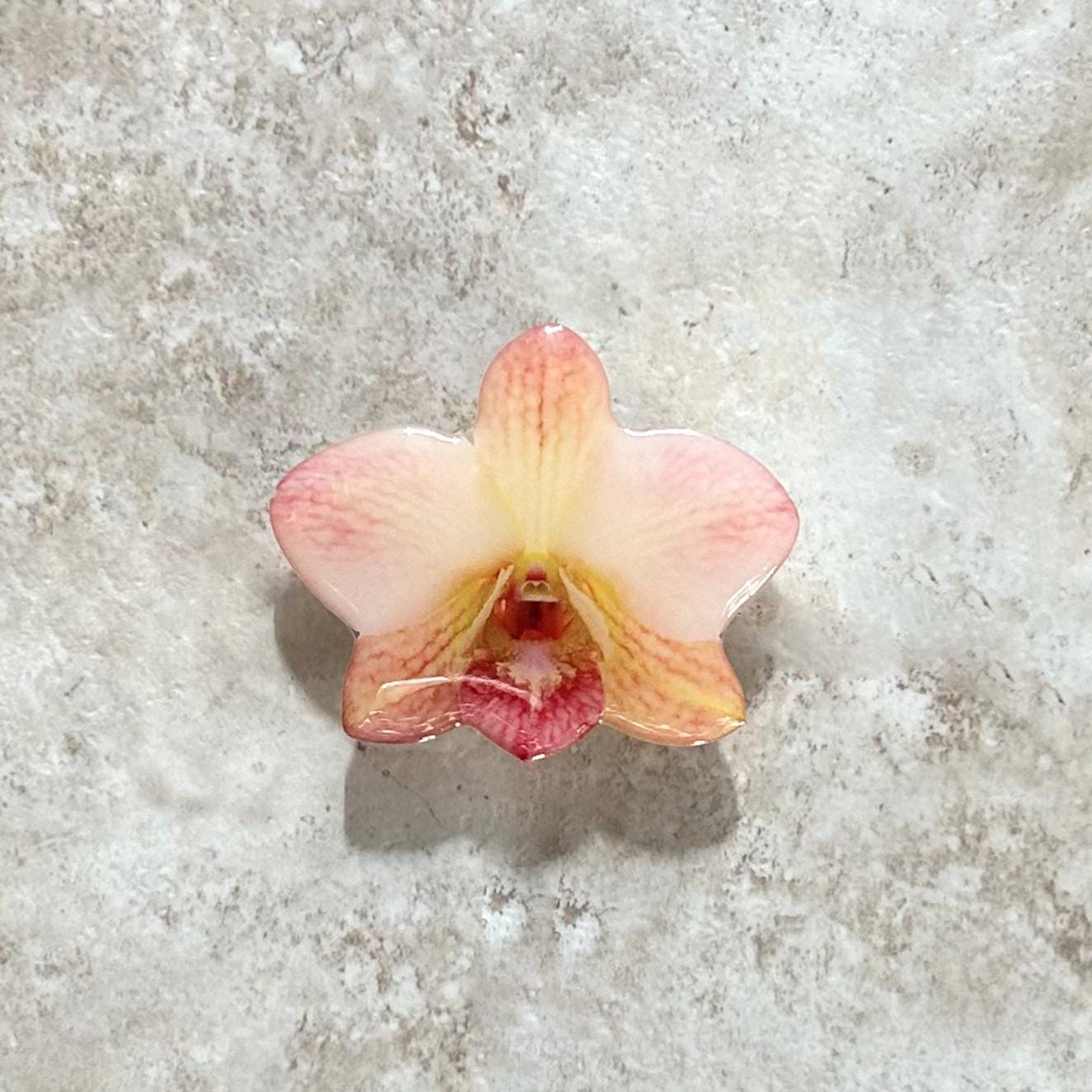 Orchid Flower Phone Grip